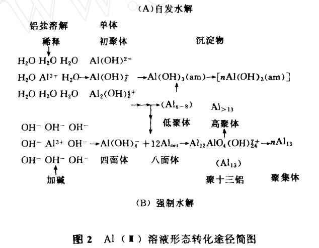 聚合氯化鋁與傳統(tǒng)混凝劑的凝聚-絮凝行為差異